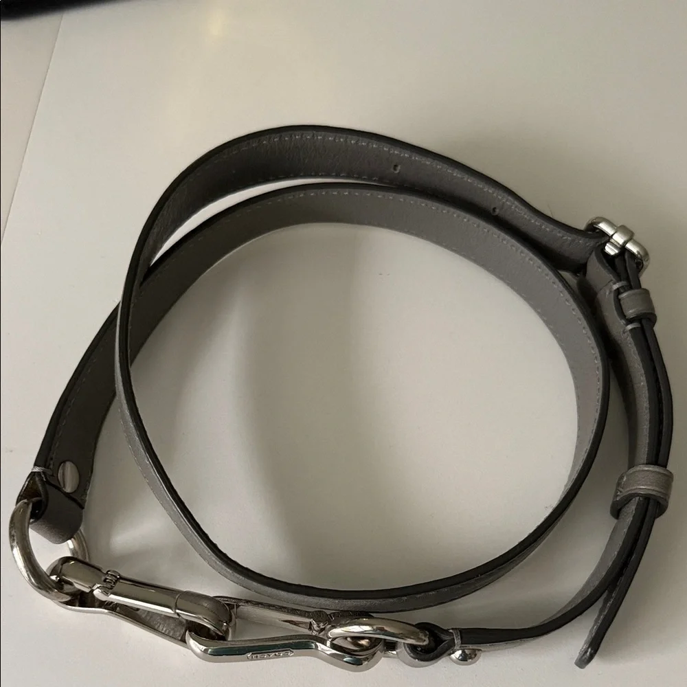 Coach leather strap